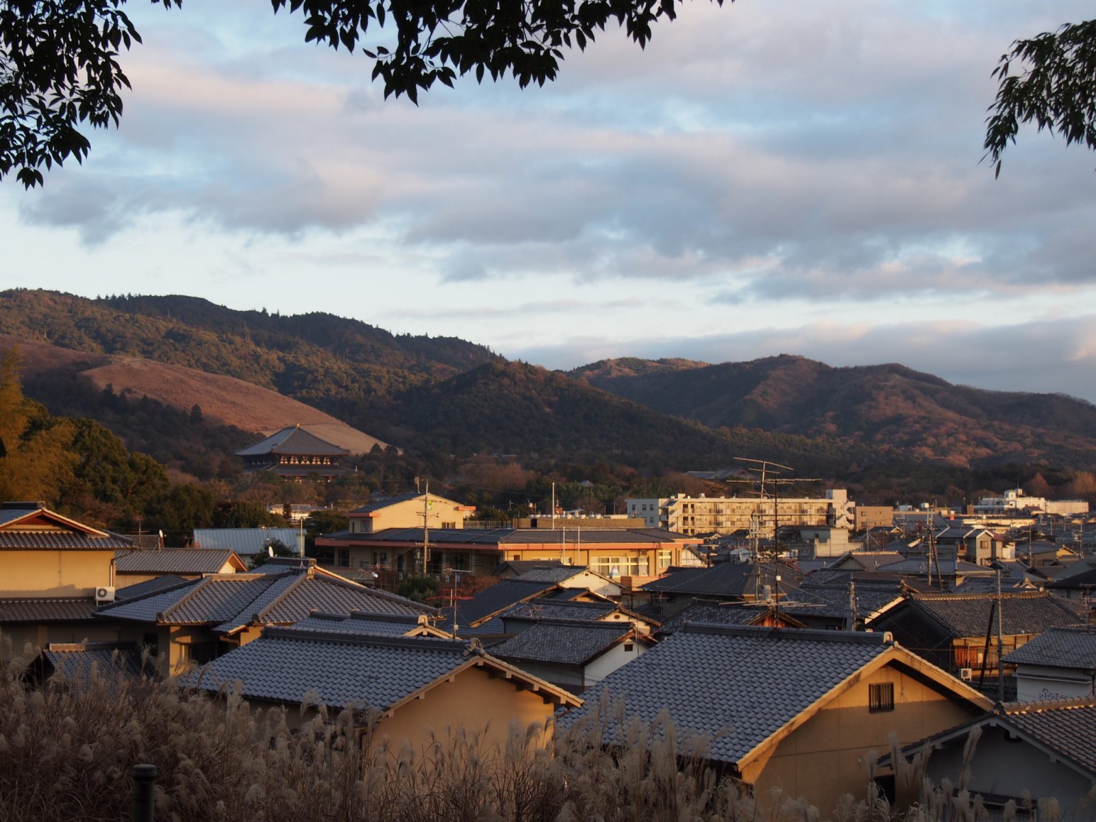 夕方の西安の森から望む奈良の町並み