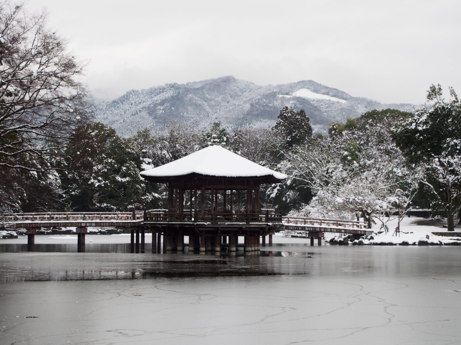 雪景色の浮見堂と凍結した鷺池の風景