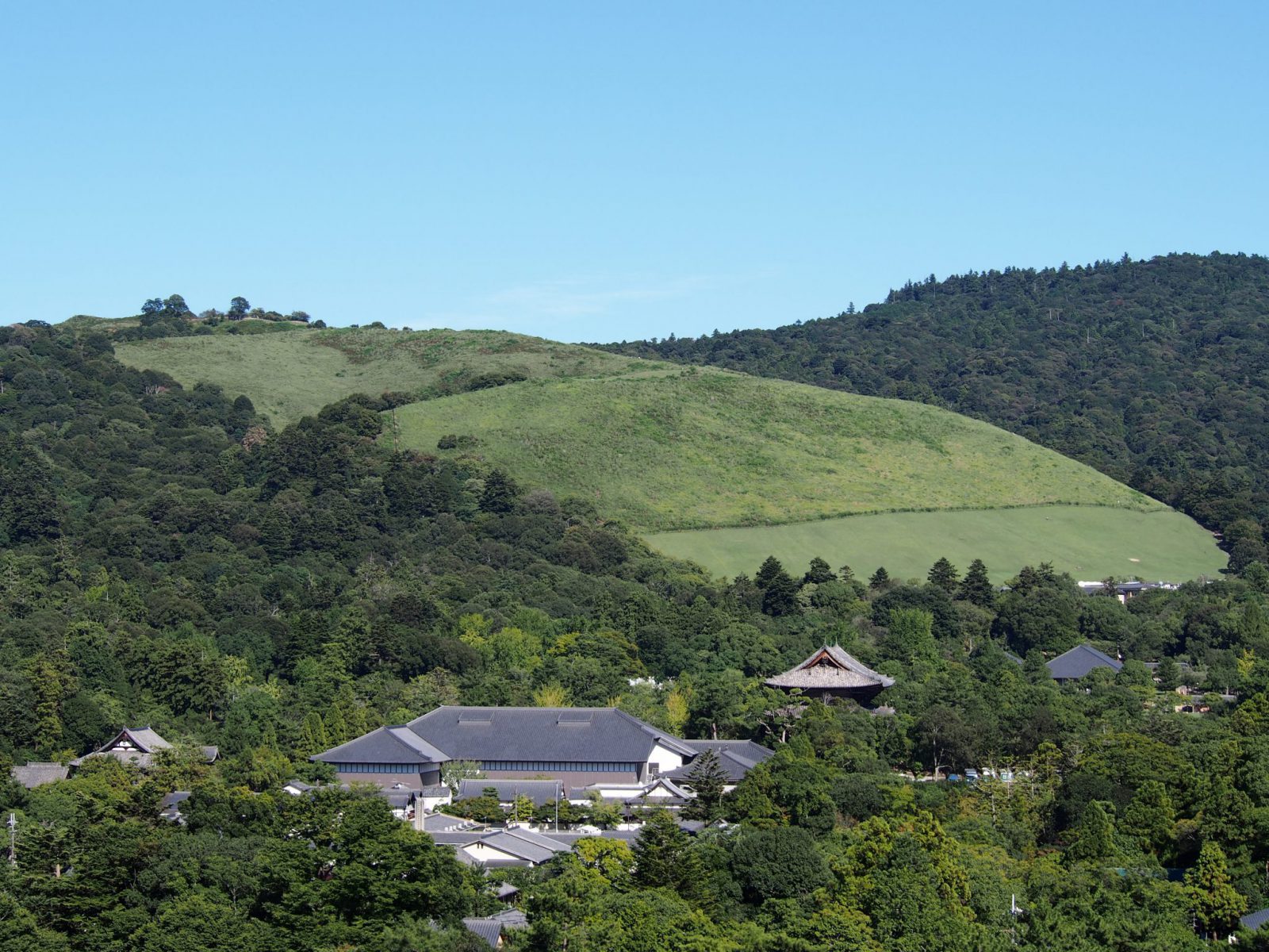 奈良県庁屋上から若草山・南大門を望む