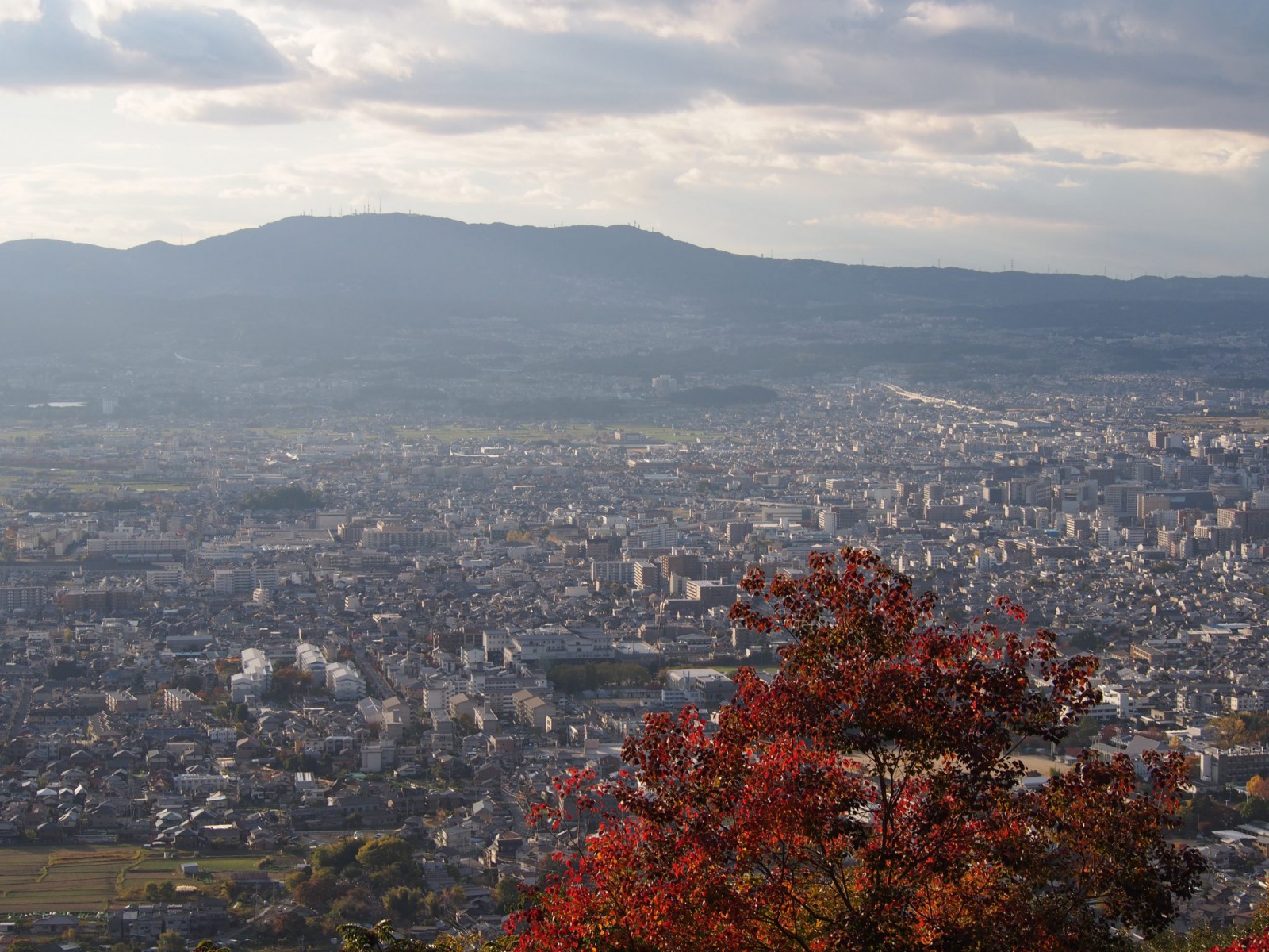 高円山大文字火床から奈良市街地を一望