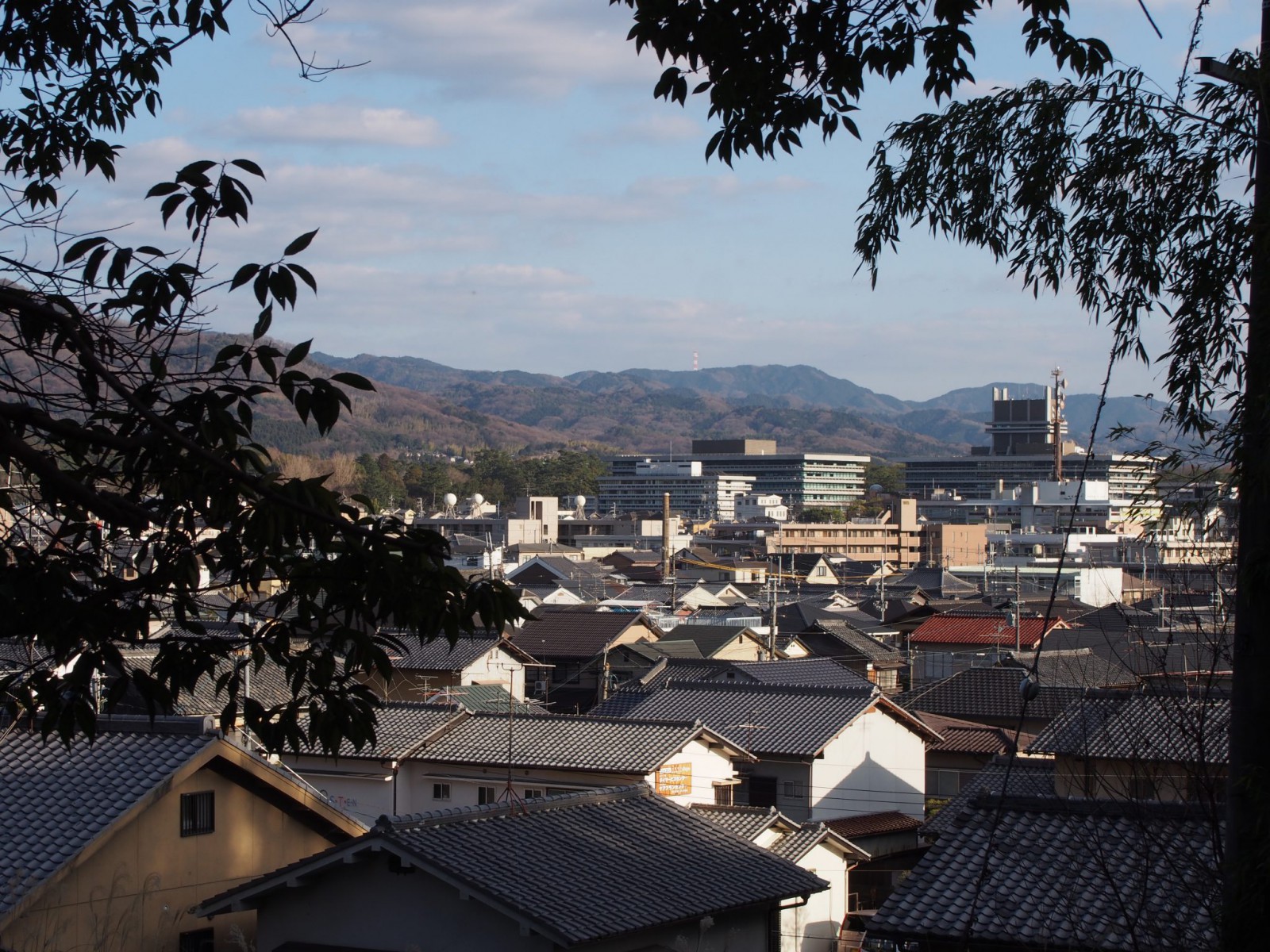 西安の森から奈良市街地を望む