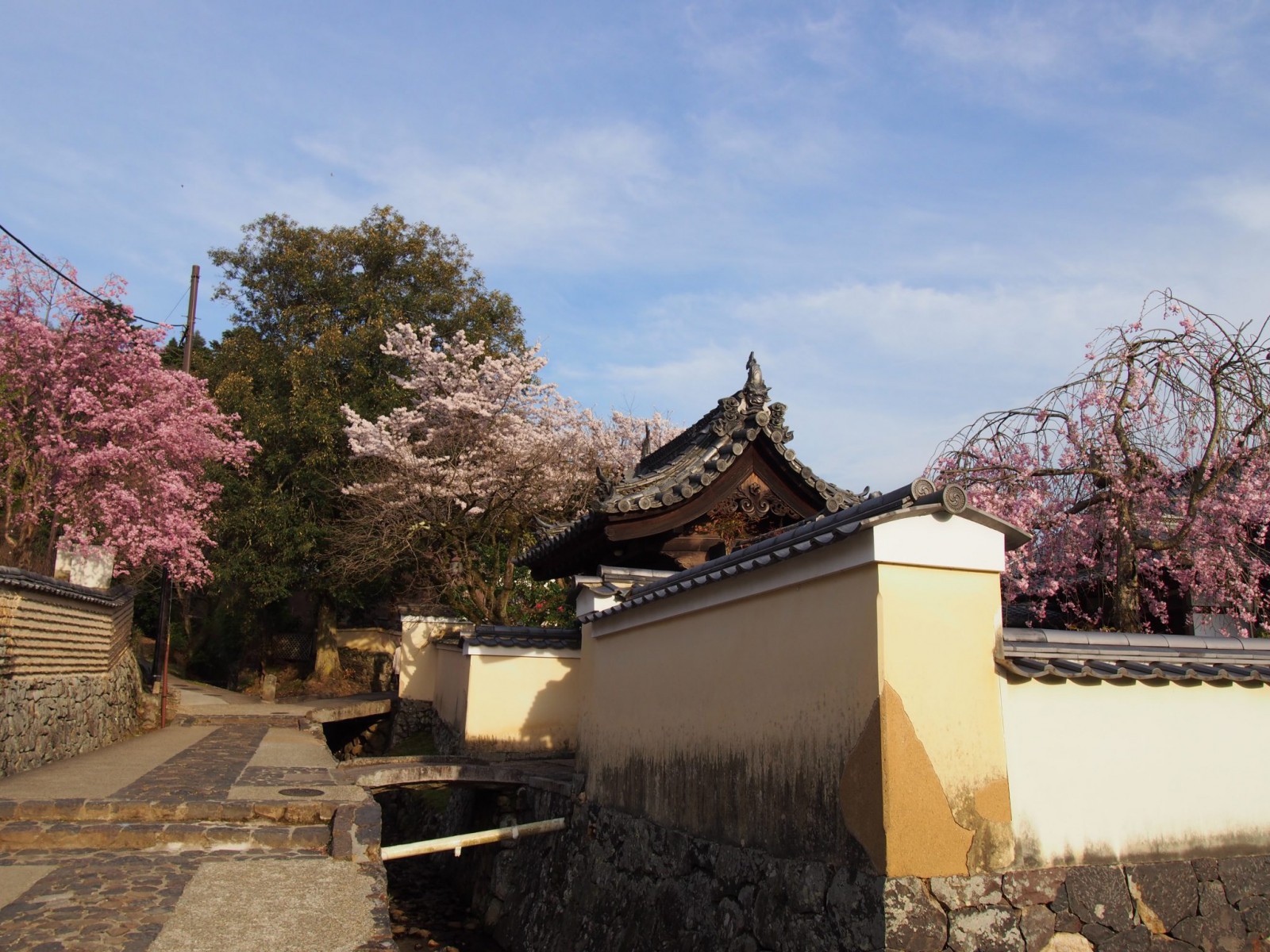 色とりどりの桜が美しい二月堂裏参道