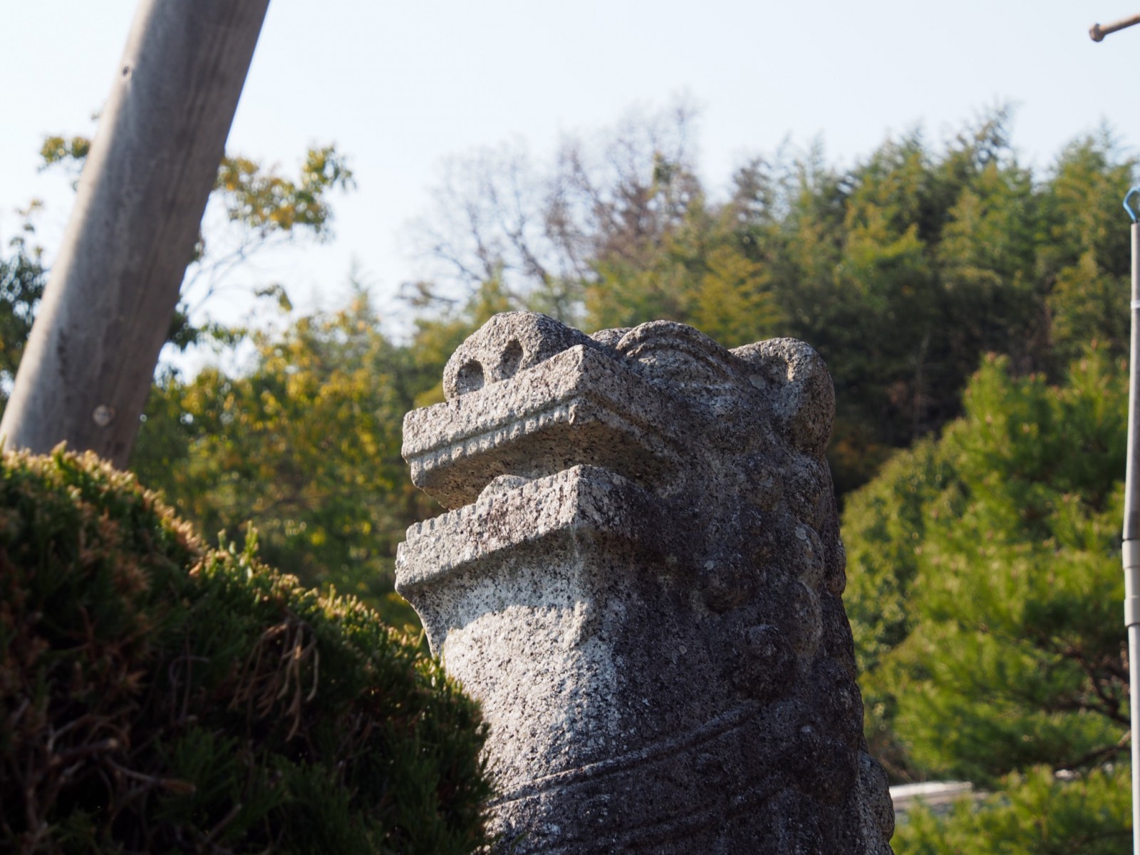長慶寺の狛犬