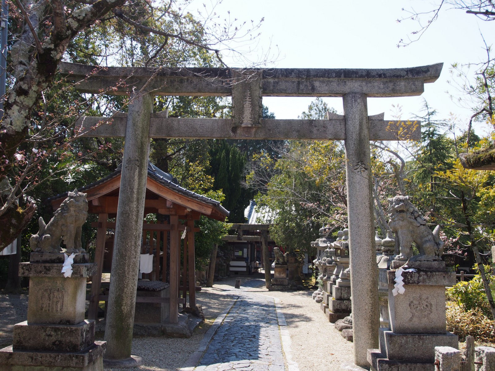 奈良豆比古神社の鳥居