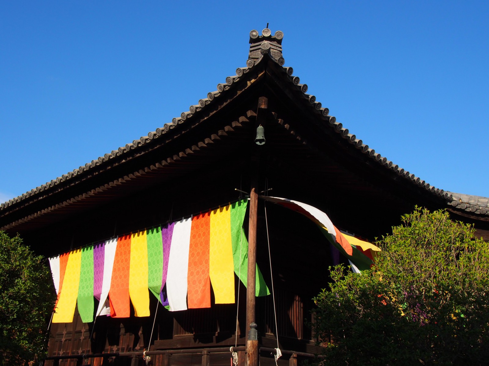 五色幕が美しい西大寺本堂