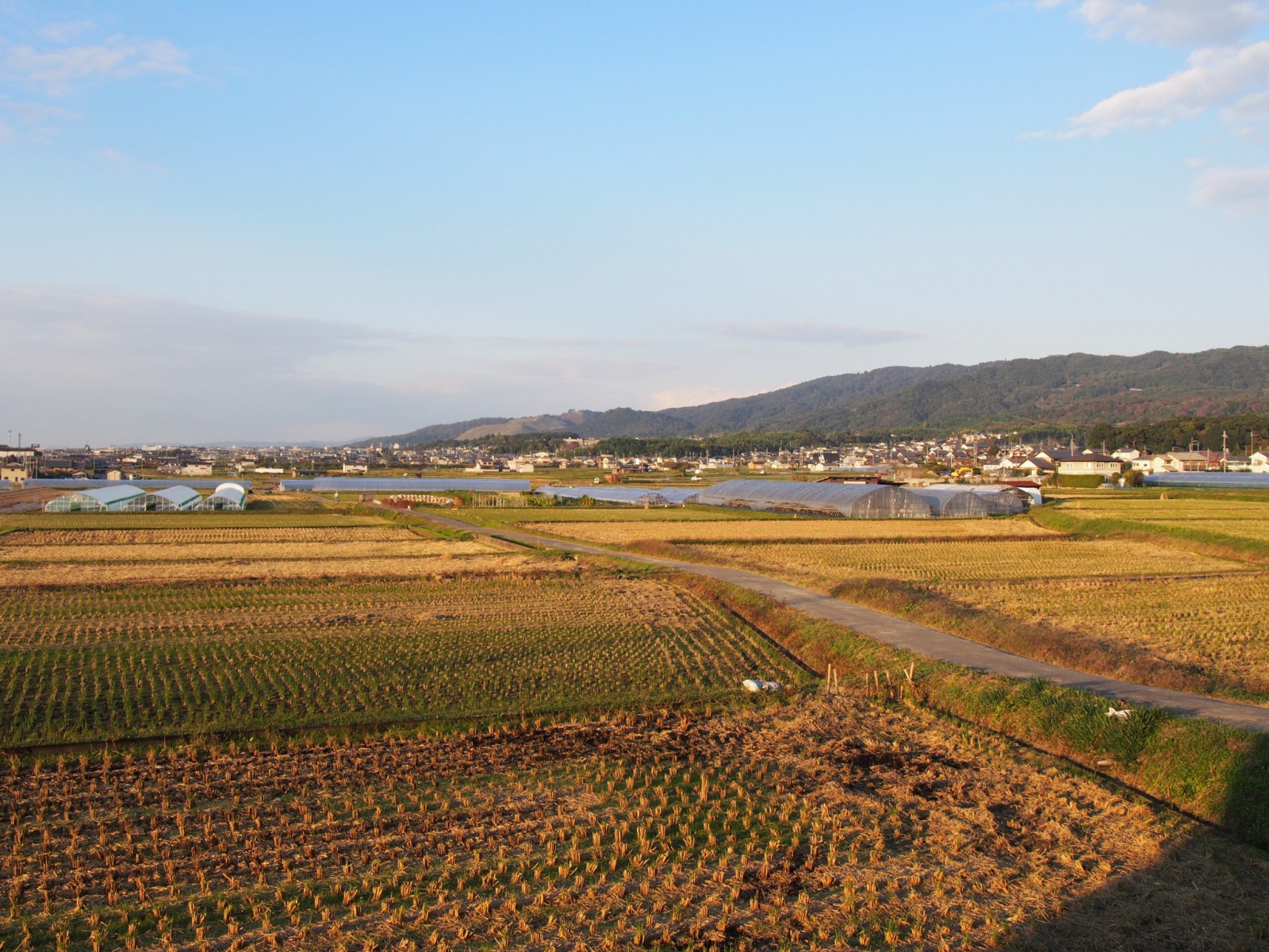 山村町バス停付近の11月の田園風景