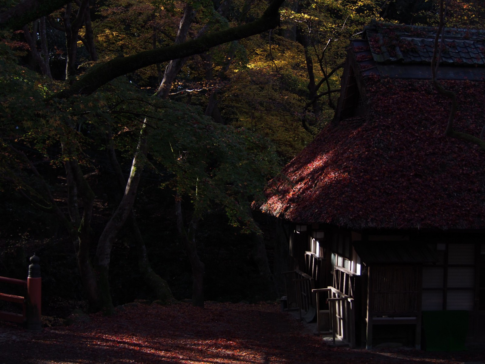 紅葉シーズンの水谷茶屋