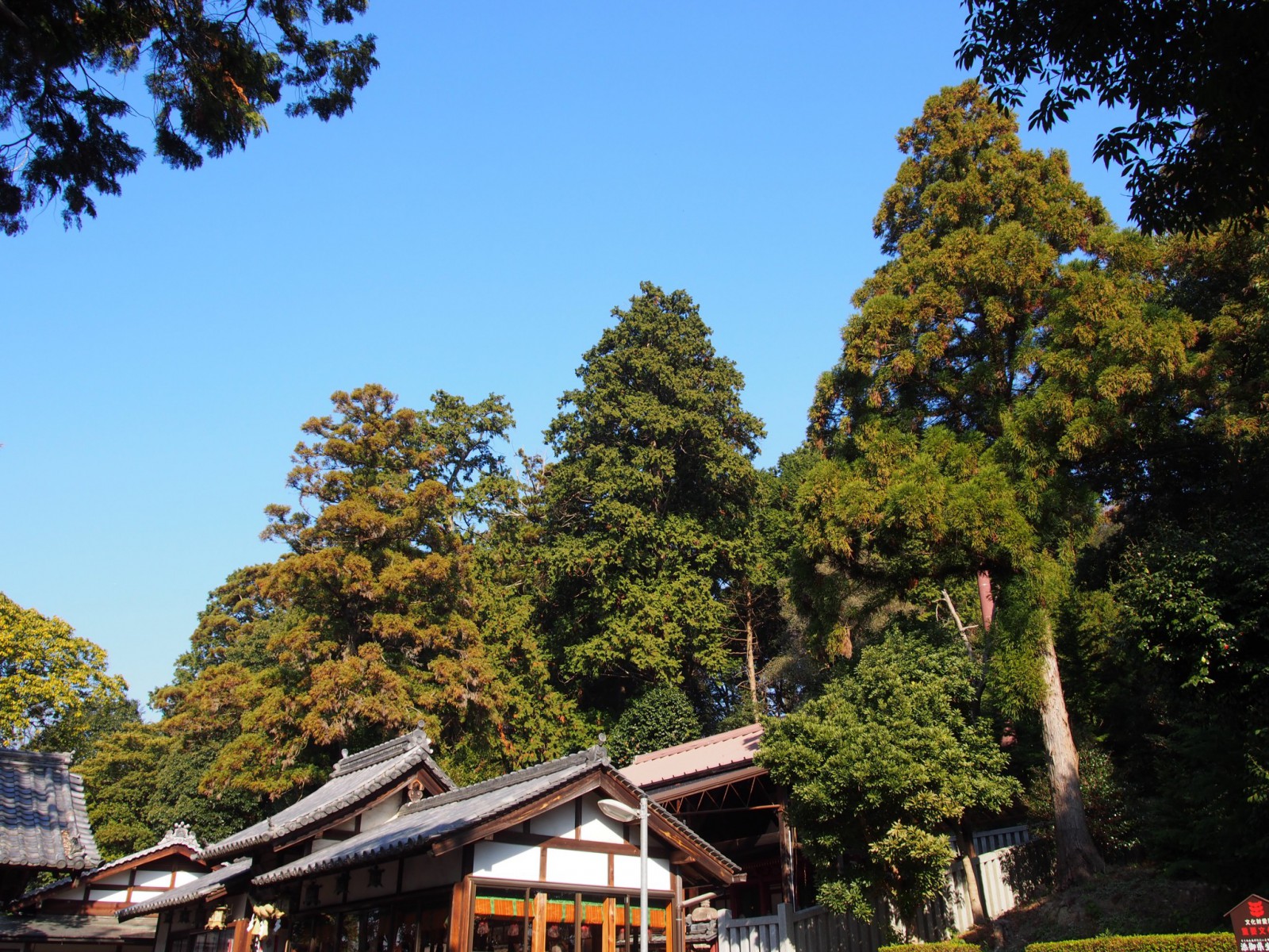 添御県坐神社の社殿