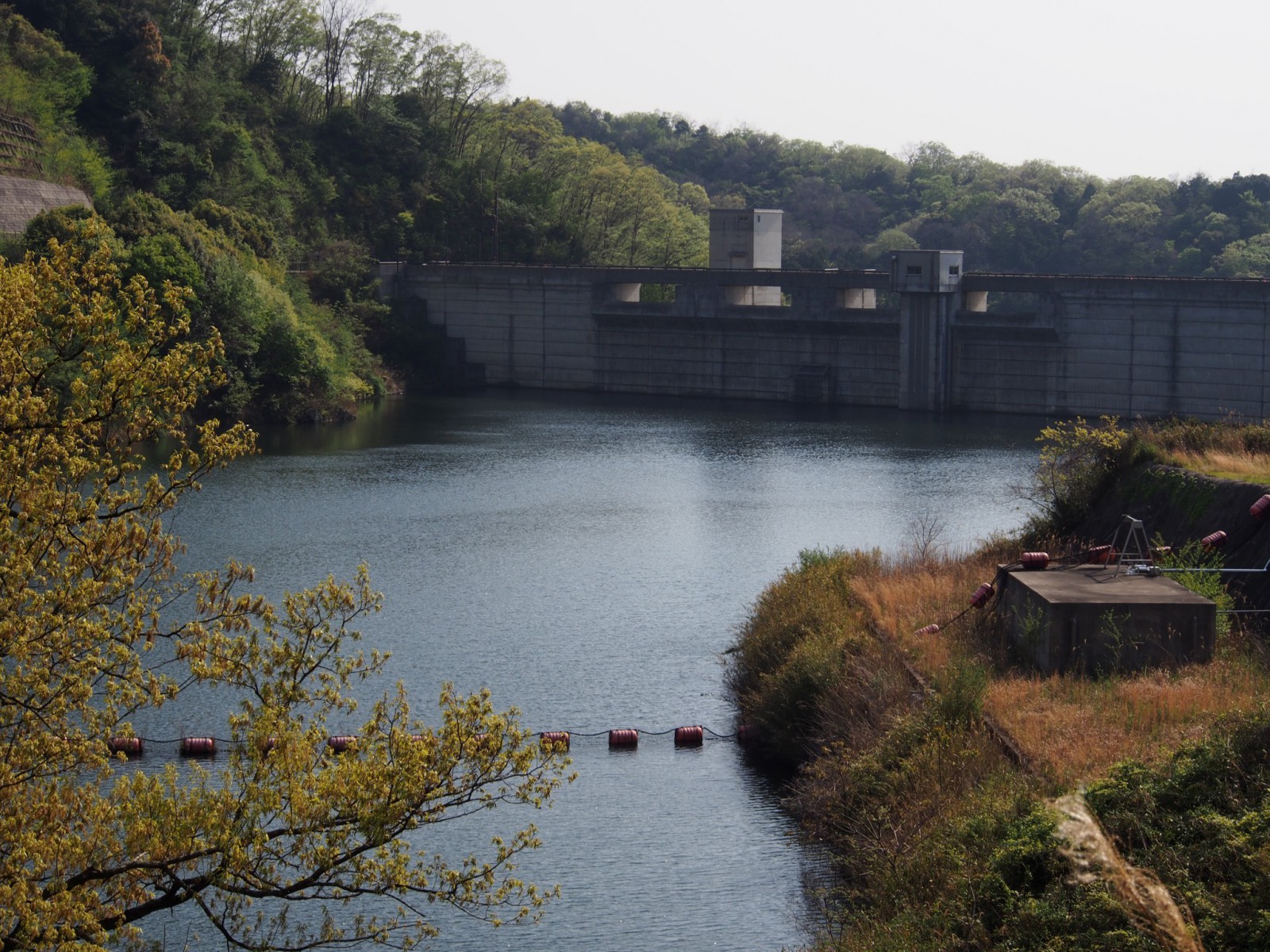 岩井川ダムのダム湖を望む