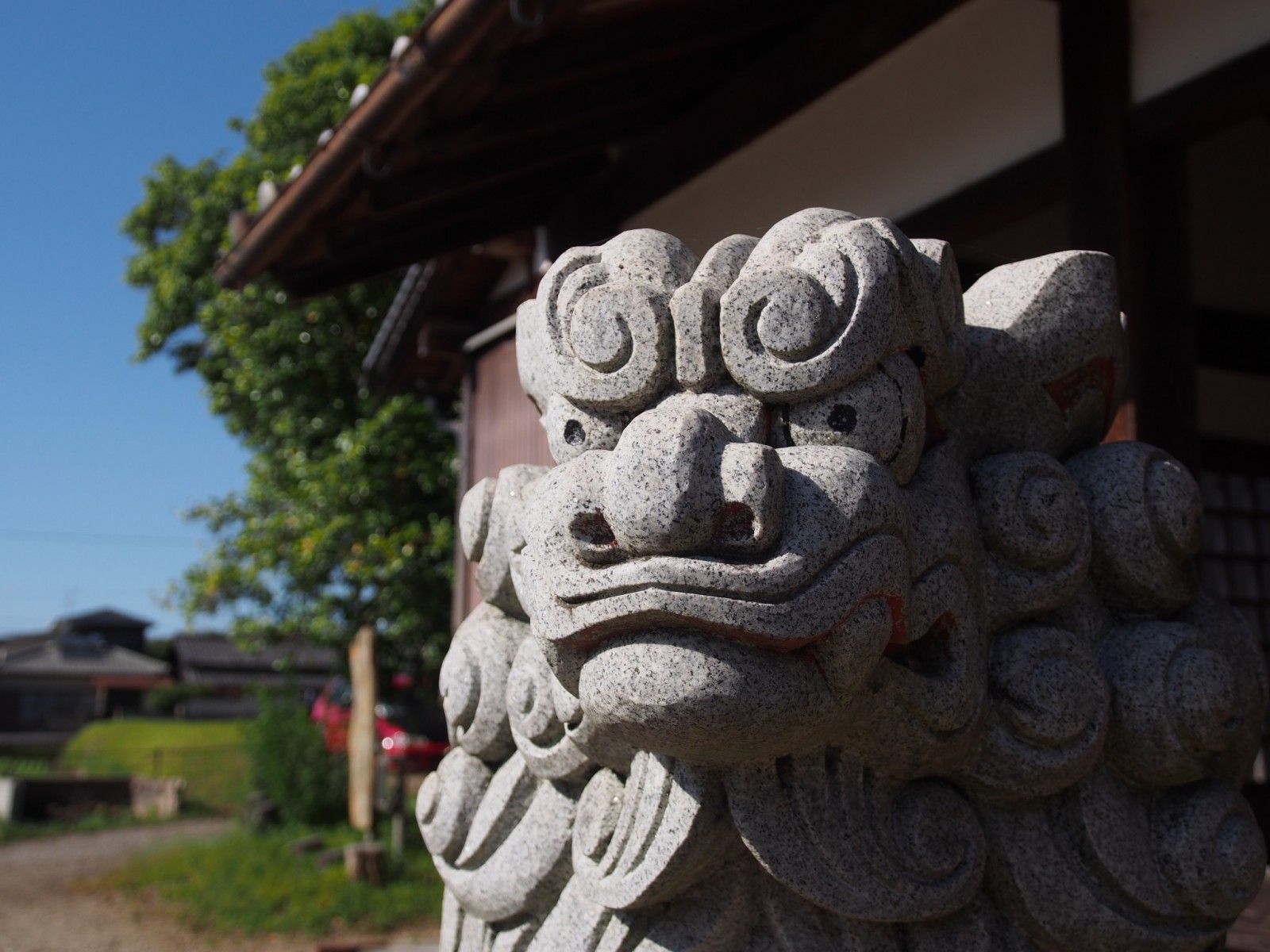 白山比咩神社の狛犬
