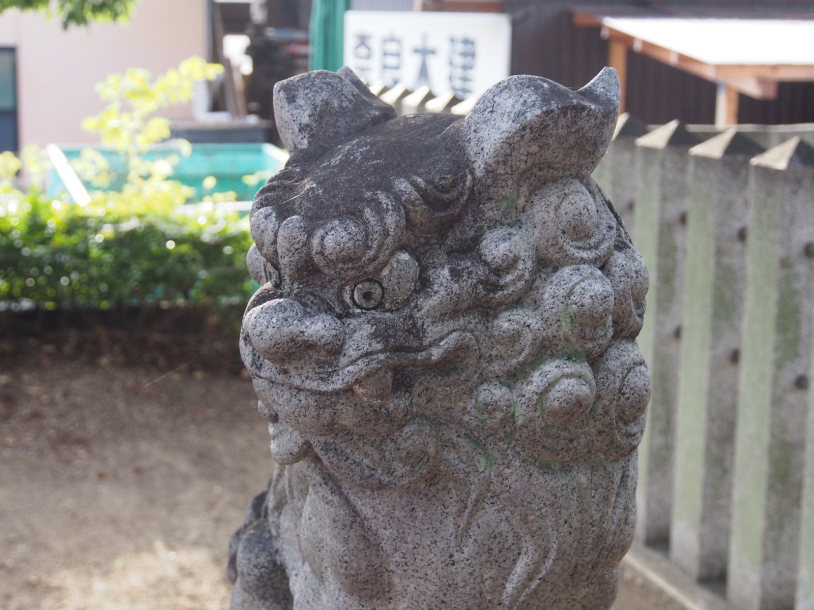 高橋神社の狛犬