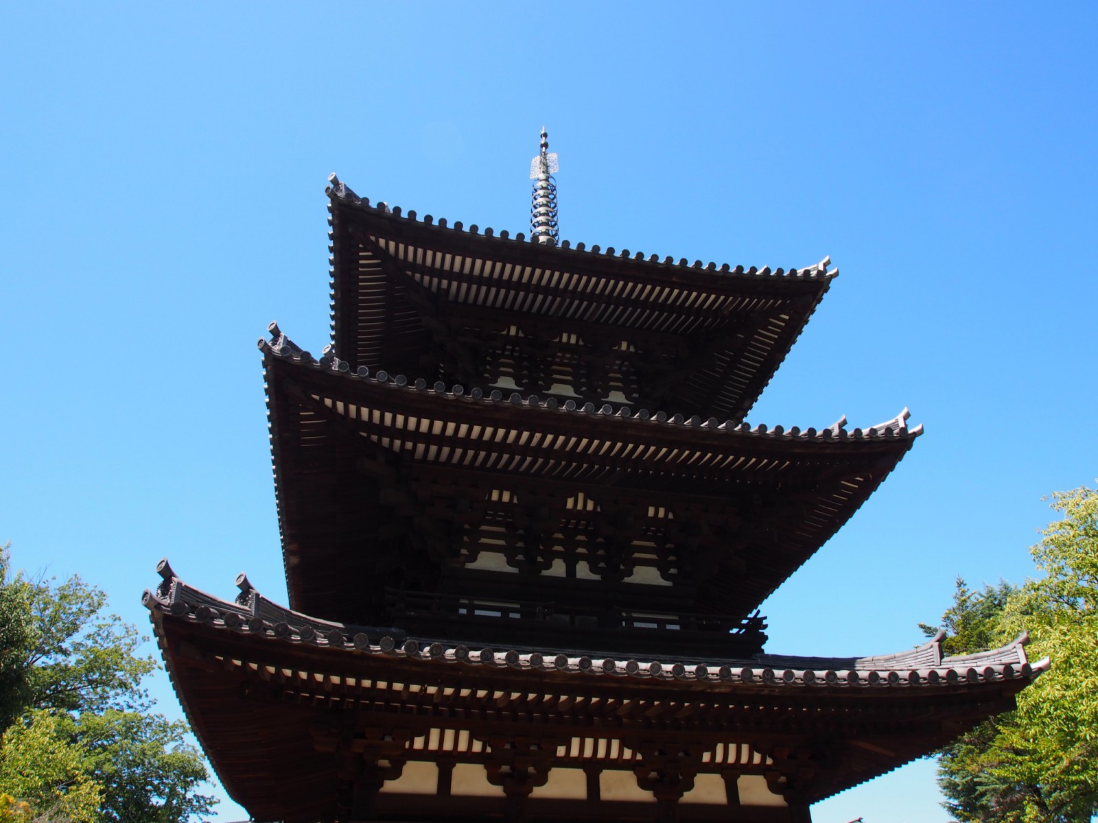 興福寺三重塔を真下から見上げる