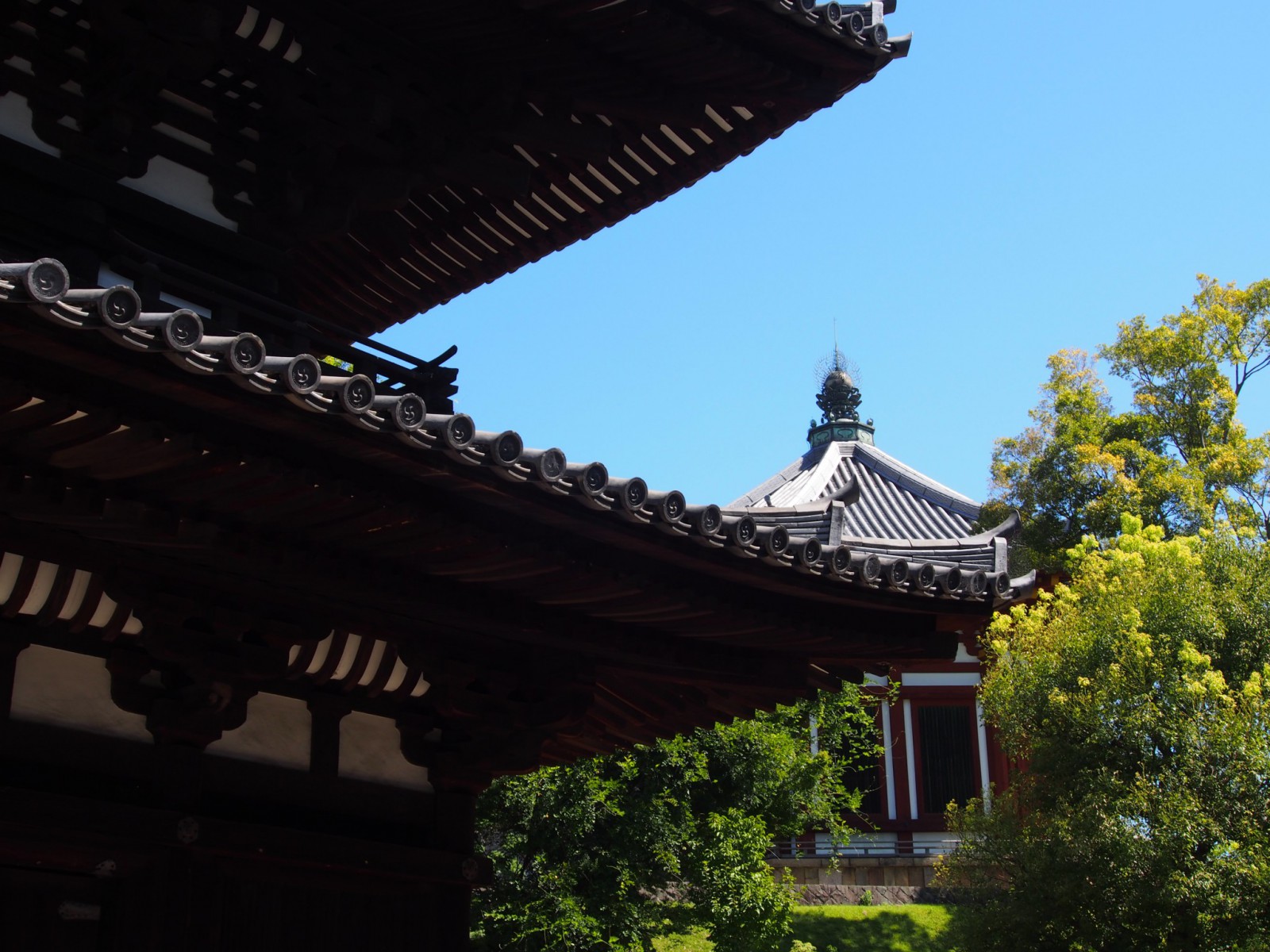 三重塔と南円堂（興福寺）