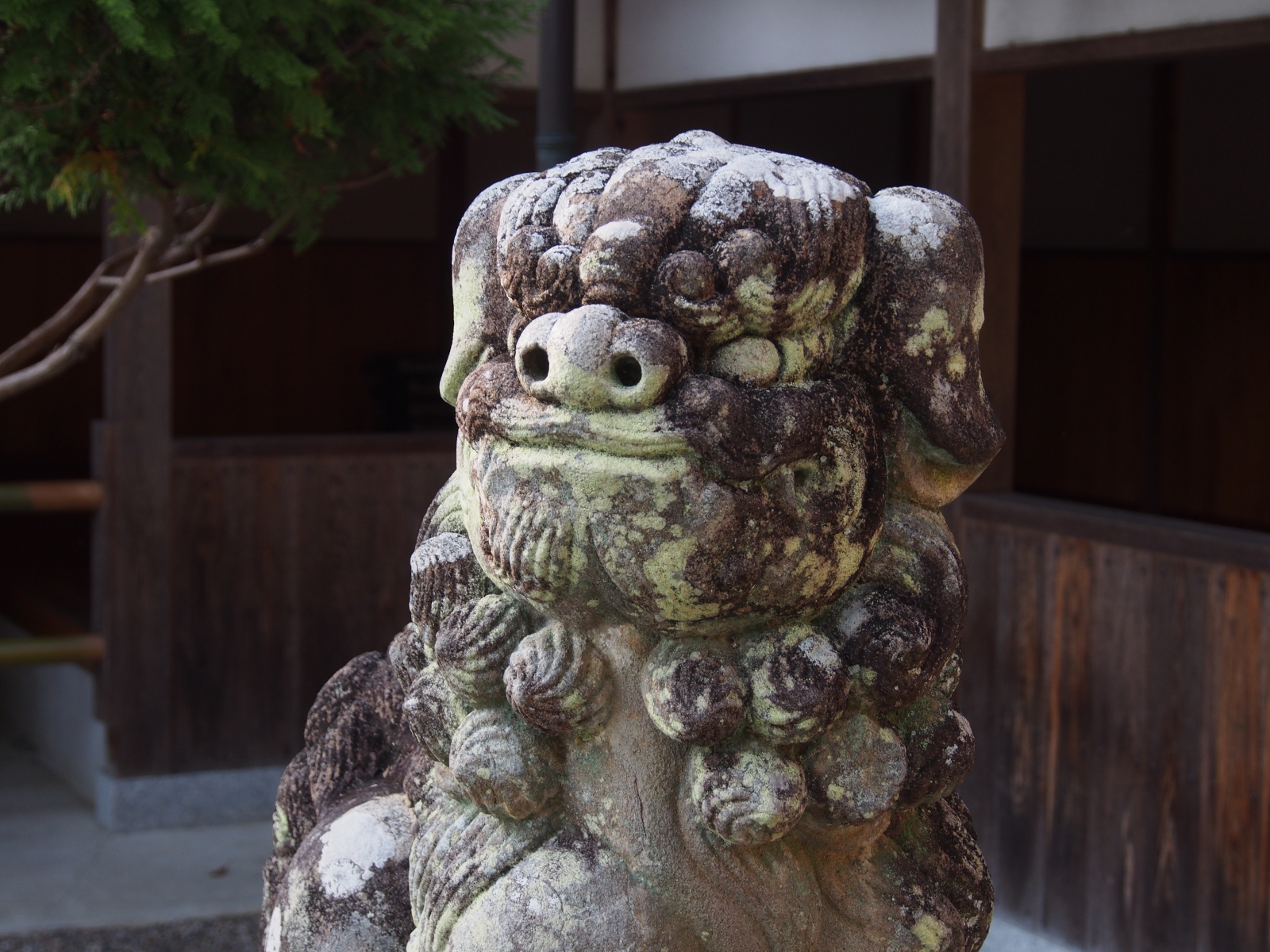 山上八幡神社の狛犬