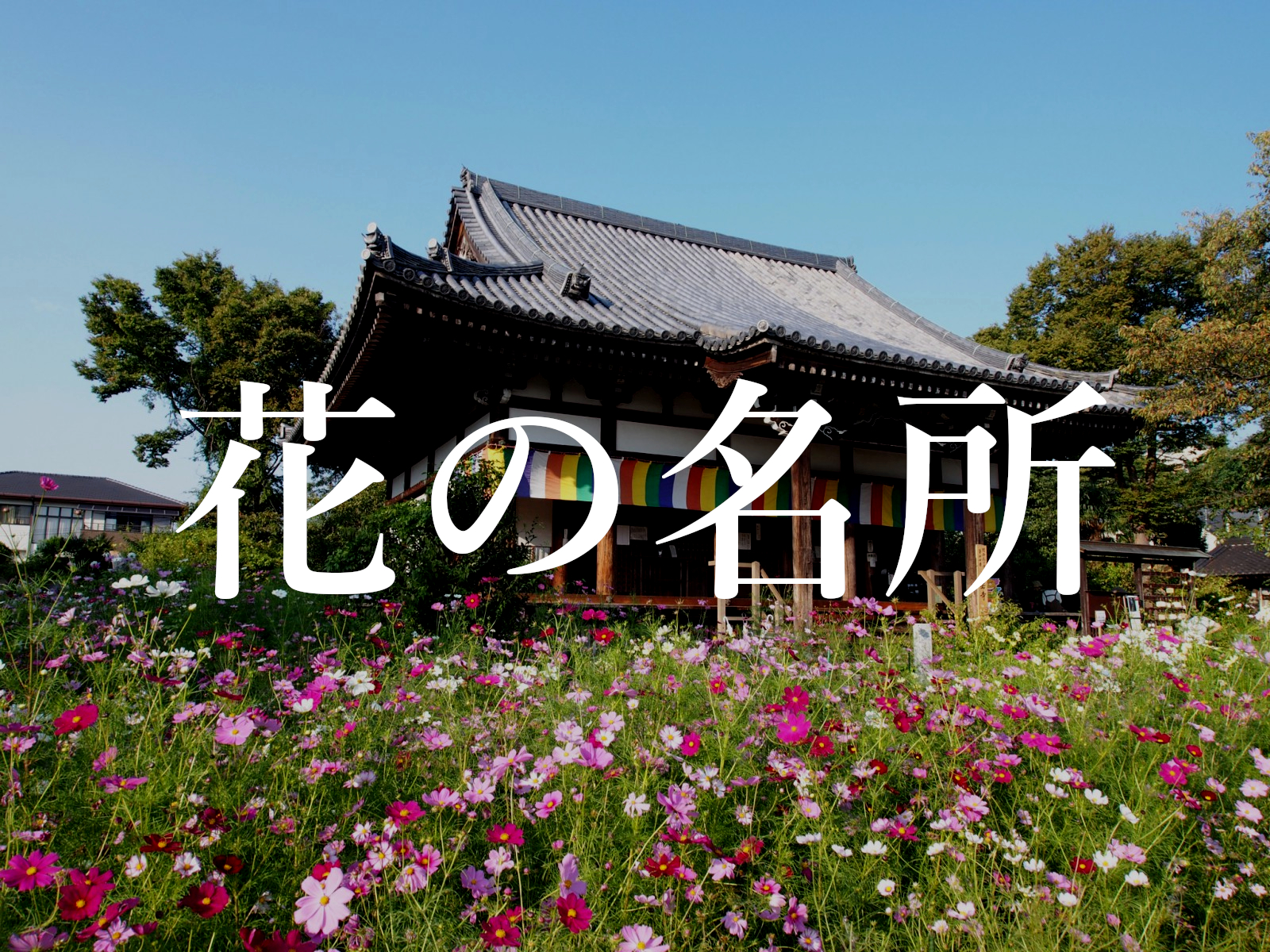 一覧形式 奈良市内にある 花の名所 と 花の見頃 完全まとめ 奈良まちあるき風景紀行
