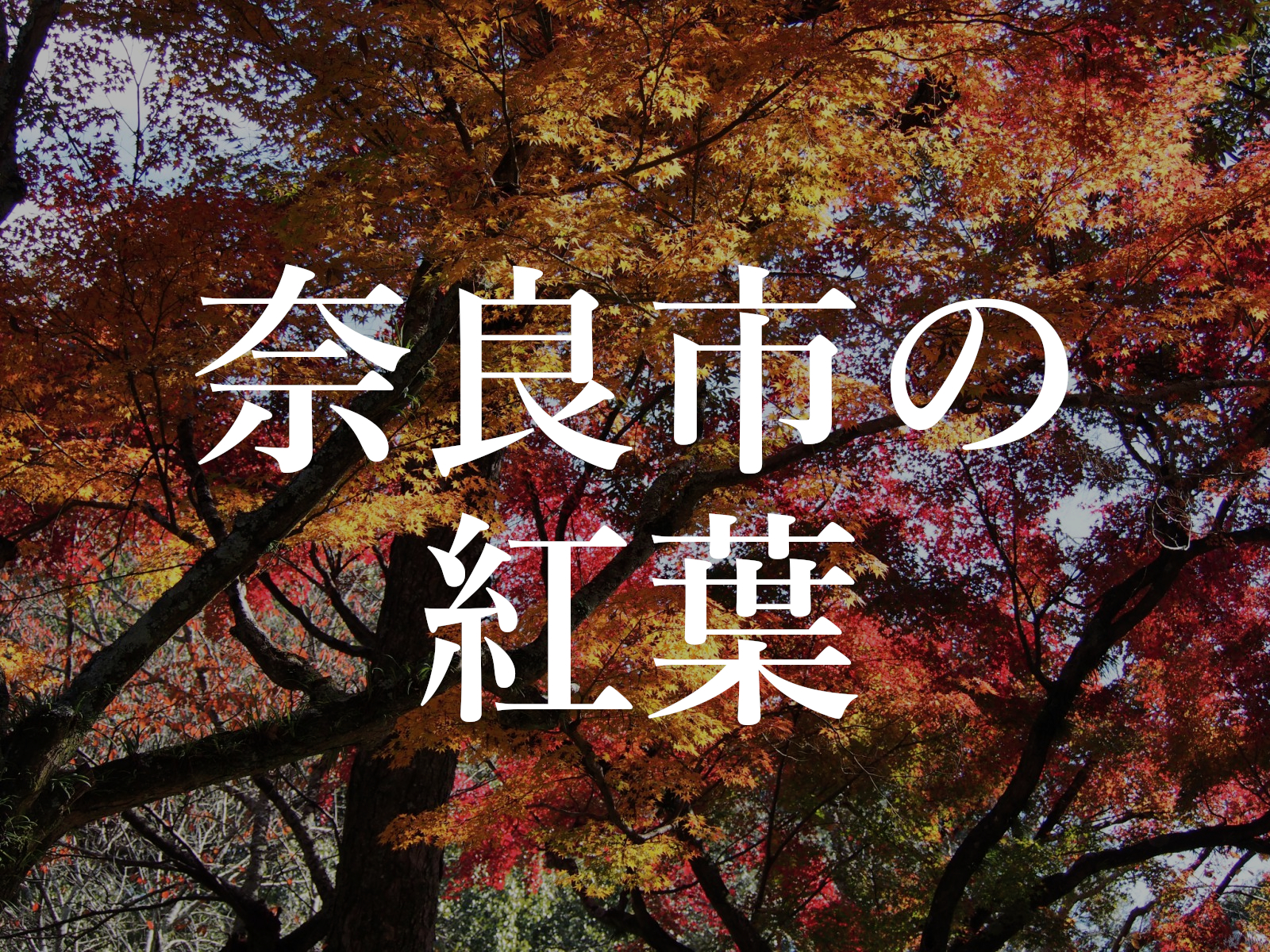 奈良市内の 紅葉の名所 みどころ 一覧 有名スポットから穴場まで 奈良まちあるき風景紀行