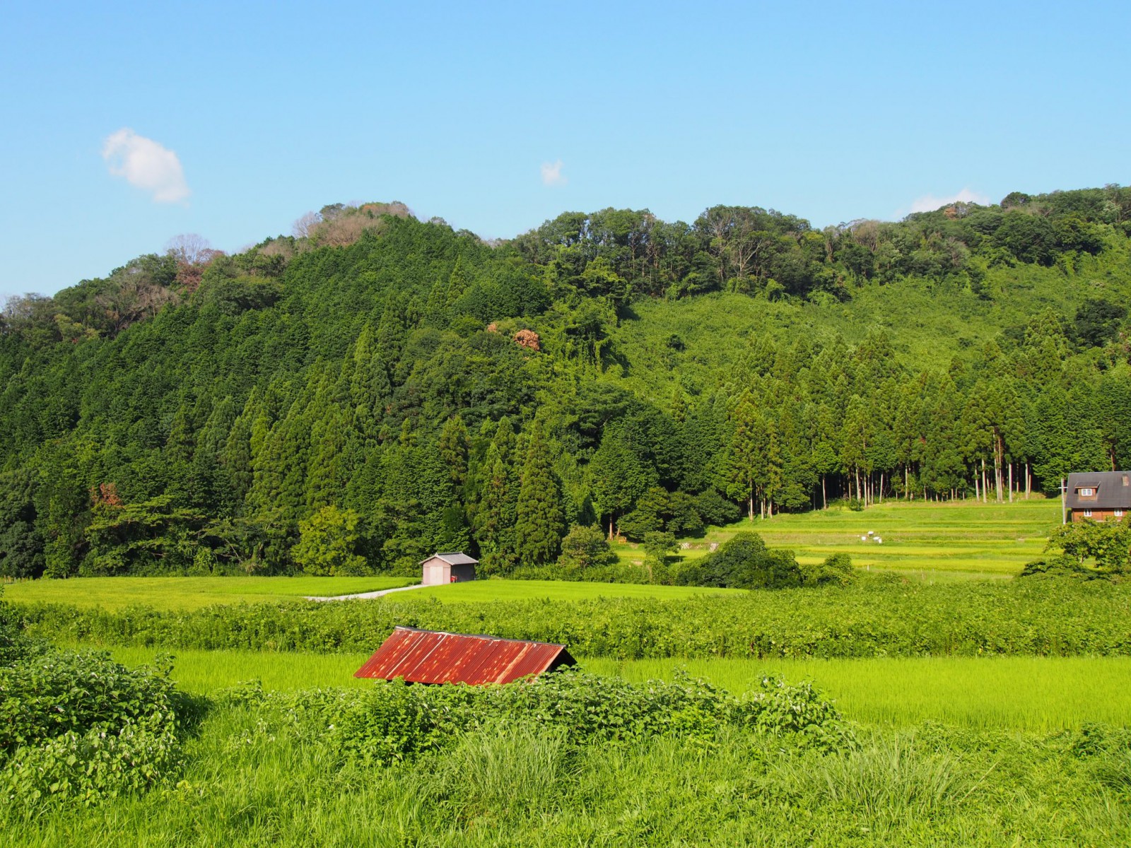 廣岡（奈良市広岡町）の農村風景