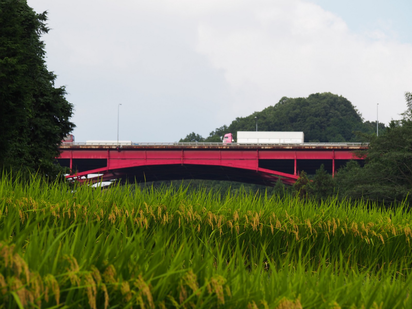 名阪国道沿い「米谷町」の農村風景