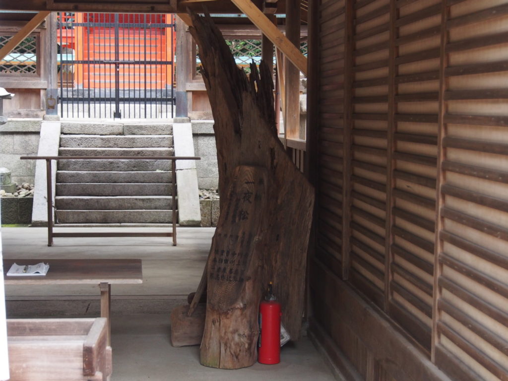 菅田神社(大和郡山市)の「一夜松」