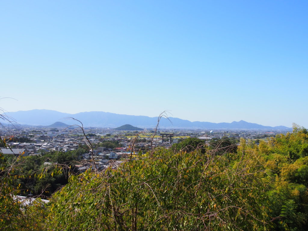 大美和の杜展望台からの眺望風景