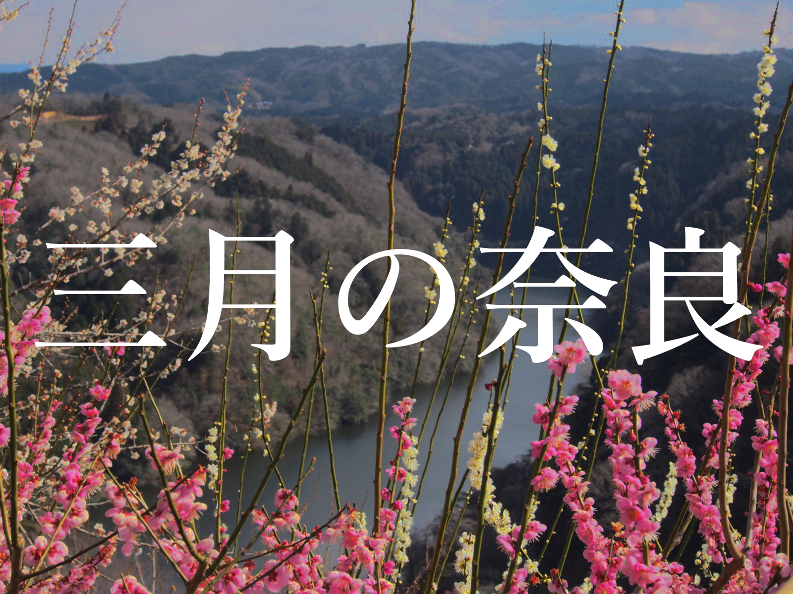 繁忙期入り 奈良の 3月 はどんな感じ 行事 イベント 気候 混雑状況などを解説 奈良まちあるき風景紀行